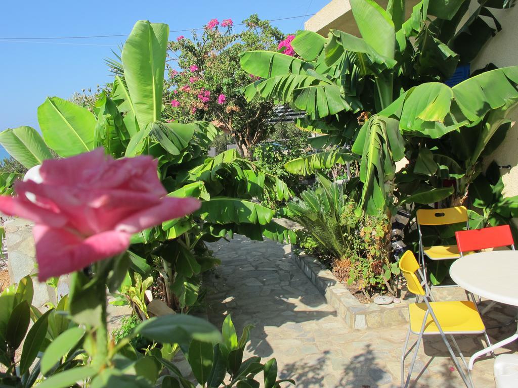 Porto Kastri Studios Kastri (Crete) Quarto foto